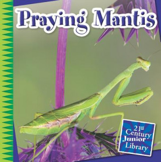 Carte Praying Mantis Tamra B. Orr