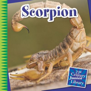 Buch Scorpion Katie Marsico