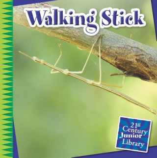 Kniha Walking Stick Tamra B. Orr