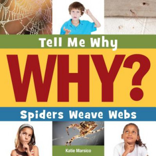 Buch Spiders Weave Webs Katie Marsico