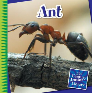 Knjiga Ant Susan Heinrichs Gray