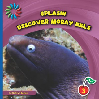 Book Discover Moray Eels Kathryn Beaton