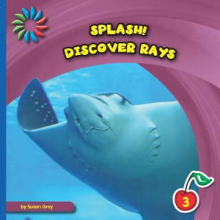 Carte Discover Rays Susan Heinrichs Gray
