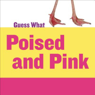 Könyv Poised and Pink Kelly Calhoun
