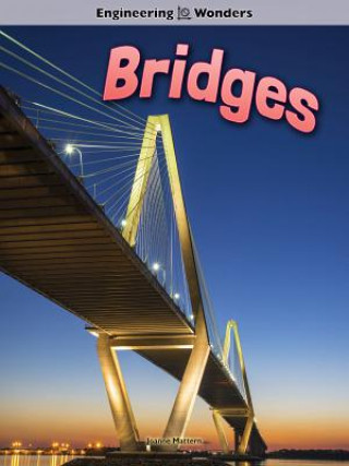 Knjiga Bridges Joanne Mattern