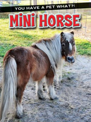 Knjiga Mini Horse Ann Matzke