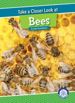 Könyv Take a Closer Look at Bees JoAnn Early Macken