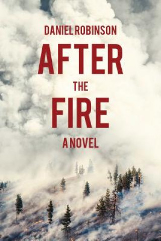 Könyv After the Fire Daniel Robinson