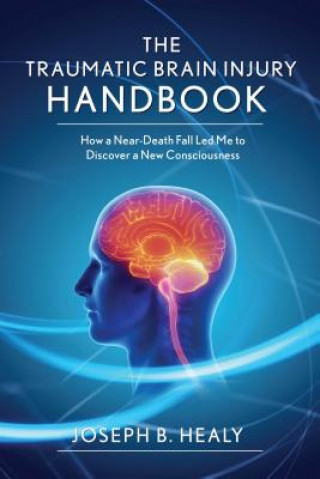 Kniha Traumatic Brain Injury Handbook Joseph B. Healy