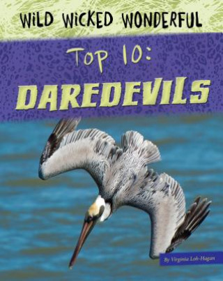 Книга Top 10 Daredevils Virginia Loh-hagan