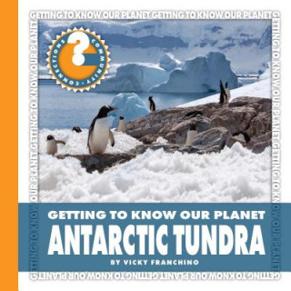 Kniha Antarctic Tundra Vicky Franchino