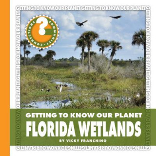 Könyv Florida Wetlands Vicky Franchino