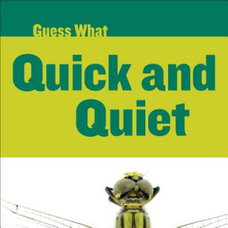 Buch Quick and Quiet Felicia Macheske