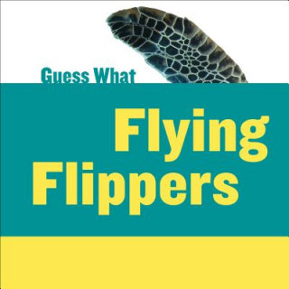 Książka Flying Flippers Felicia Macheske