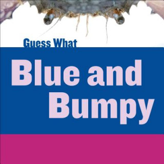 Buch Blue and Bumpy Felicia Macheske