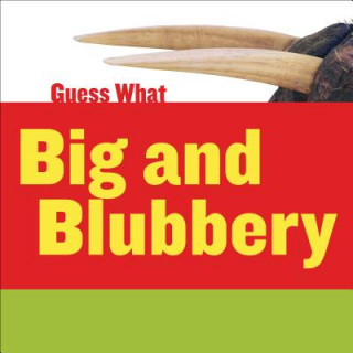 Boek Big and Blubbery Felicia Macheske