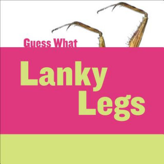Libro Lanky Legs Felicia Macheske