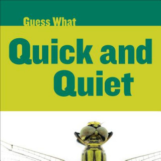 Könyv Quick and Quiet Felicia Macheske
