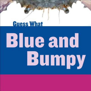 Книга Blue and Bumpy Felicia Macheske