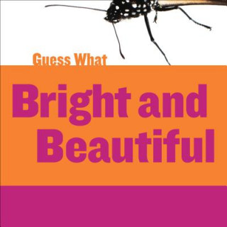 Könyv Bright and Beautiful Felicia Macheske