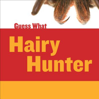 Book Hairy Hunter Felicia Macheske