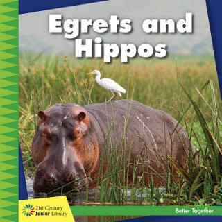 Könyv Egrets and Hippos Kevin Cunningham
