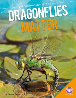 Book Dragonflies Matter Tammy Gagne