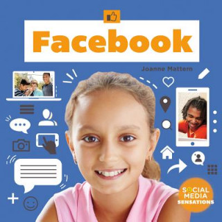 Buch Facebook Joanne Mattern