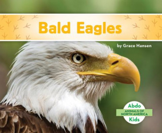 Knjiga Bald Eagles Grace Hansen