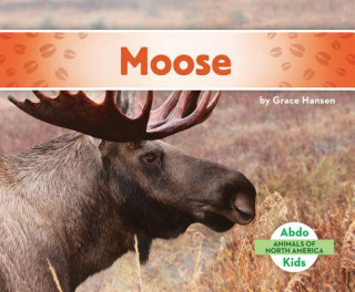 Knjiga Moose Grace Hansen