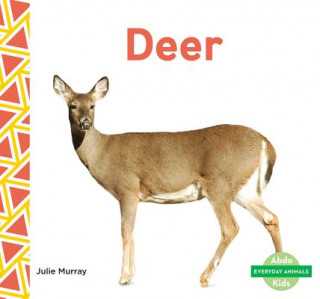 Βιβλίο Deer Julie Murray
