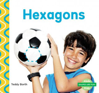 Knjiga Hexagons Teddy Borth