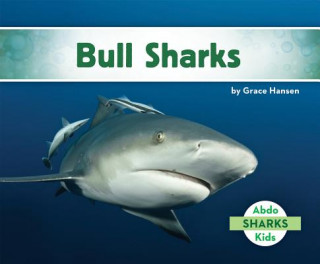 Carte Bull Sharks Grace Hansen