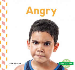 Knjiga Angry Julie Murray