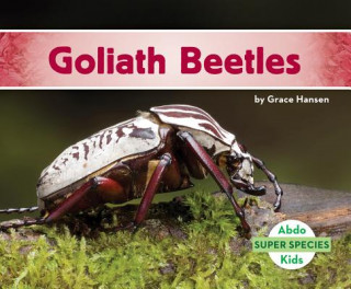 Kniha Goliath Beetles Grace Hansen