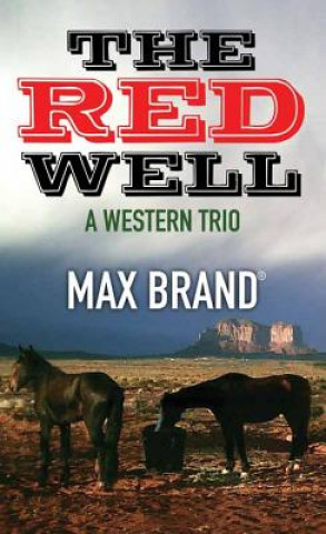 Kniha The Red Well Max Brand