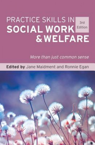 Könyv Practice Skills in Social Work and Welfare Jane Maidment