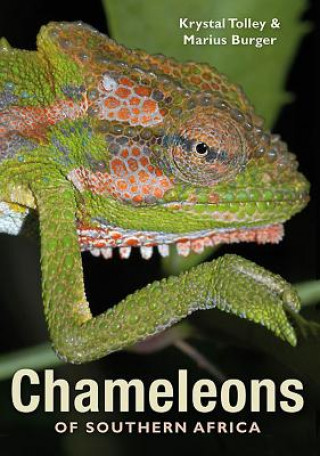 Kniha Chameleons of Southern Africa Krystal Tolley