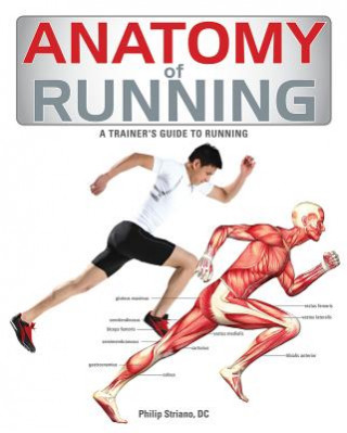 Kniha Anatomy of Running Philip Striano