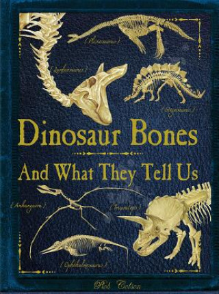 Könyv Dinosaur Bones Rob Colson