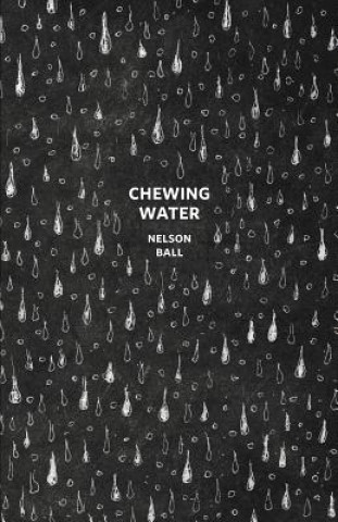 Книга Chewing Water Nelson Ball