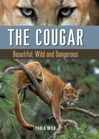 Kniha Cougar Paula Wild