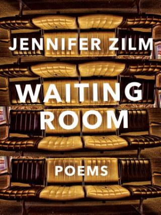 Kniha Waiting Room Jennifer Zilm