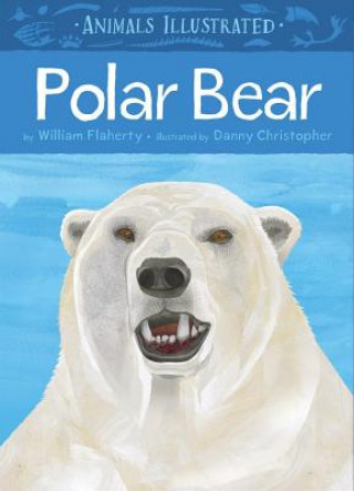 Kniha Animals Illustrated: Polar Bear Danny Christopher