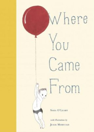 Könyv Where You Came from Sara O'Leary