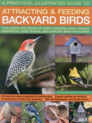 Kniha A Practical Illustrated Guide to Attracting & Feeding Backyard Birds Jen Green