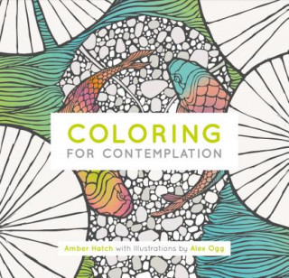 Livre Coloring for Contemplation Amber Hatch