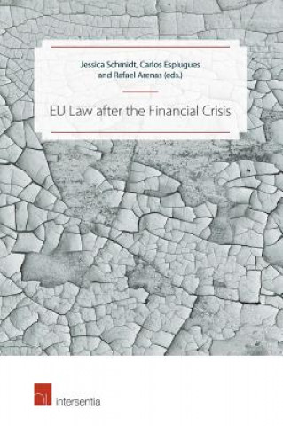 Книга EU Law after the Financial Crisis Jessica Schmidt