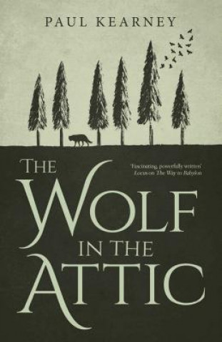 Könyv The Wolf in the Attic Paul Kearney