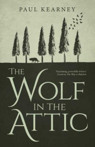 Book The Wolf in the Attic Paul Kearney